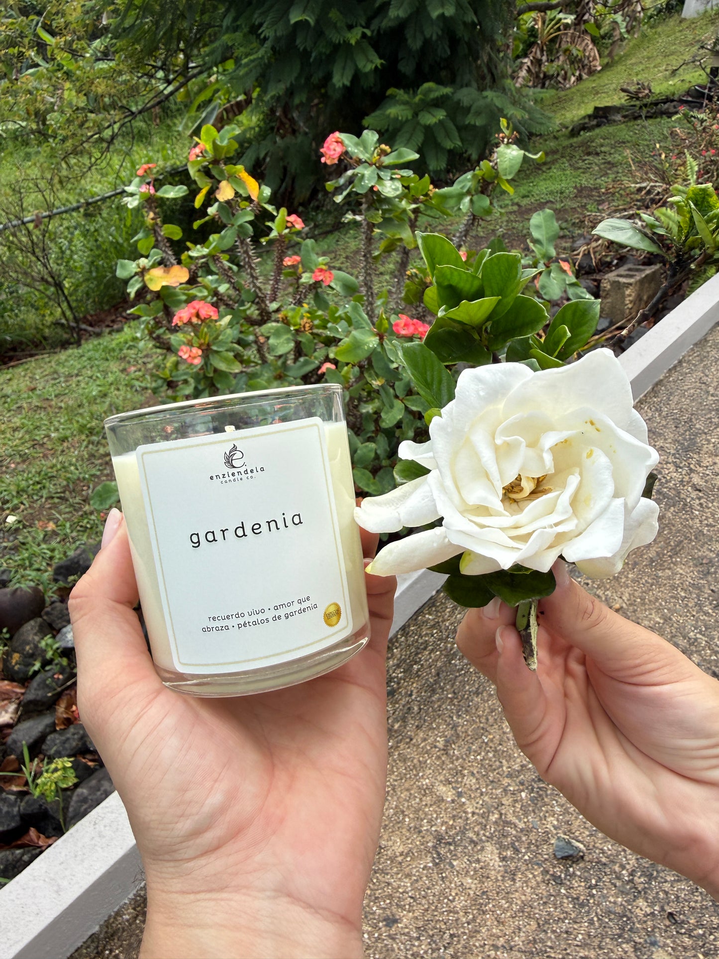 Gardenia (Edición Especial) • Vela Aromática Artesanal • 8oz