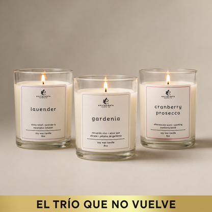 Trío Best Sellers • Edición Especial • Gardenia • Lavanda • Cranberry Prosecco • 8oz