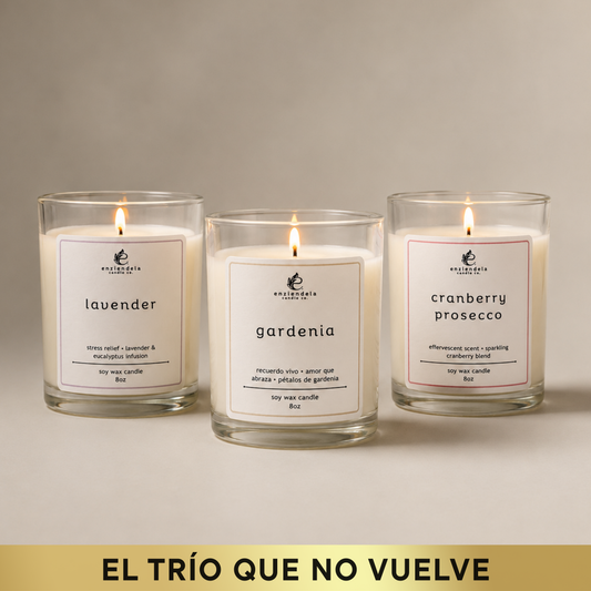 Trío Best Sellers • Edición Especial • Gardenia • Lavanda • Cranberry Prosecco • 8oz